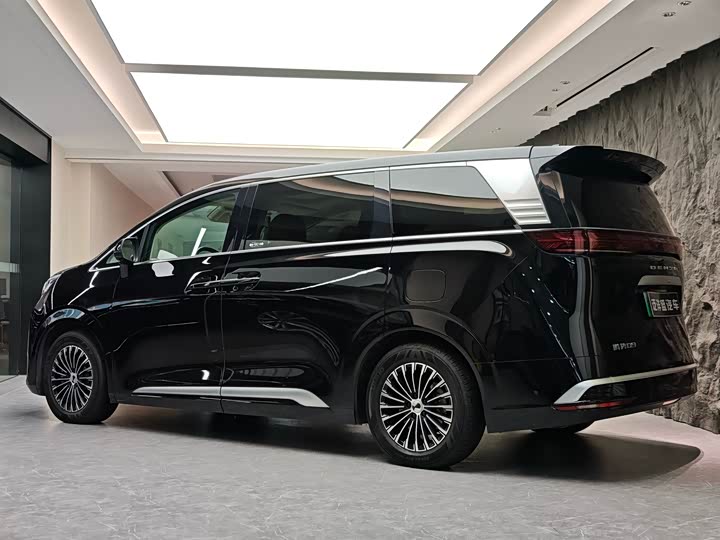 Фото 13 - Denza D9