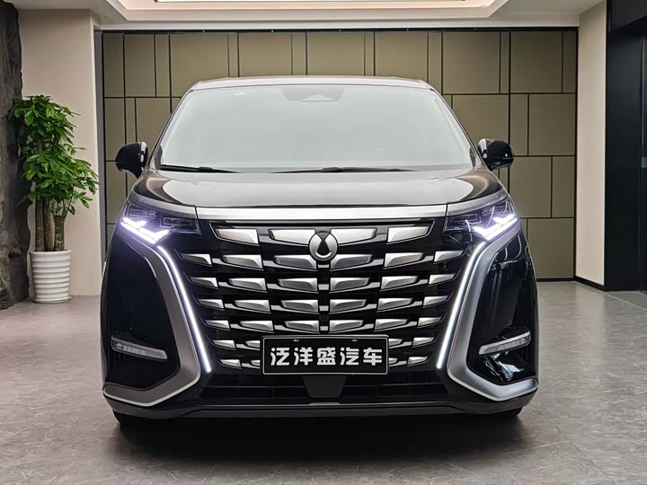 Фото 2 - Denza D9