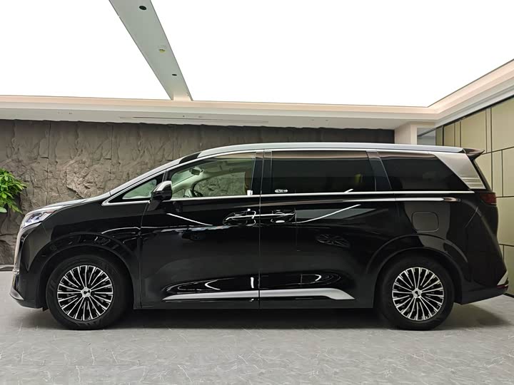 Фото 3 - Denza D9