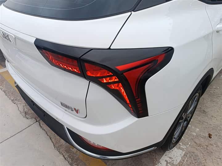 Фото 10 - Hozon V