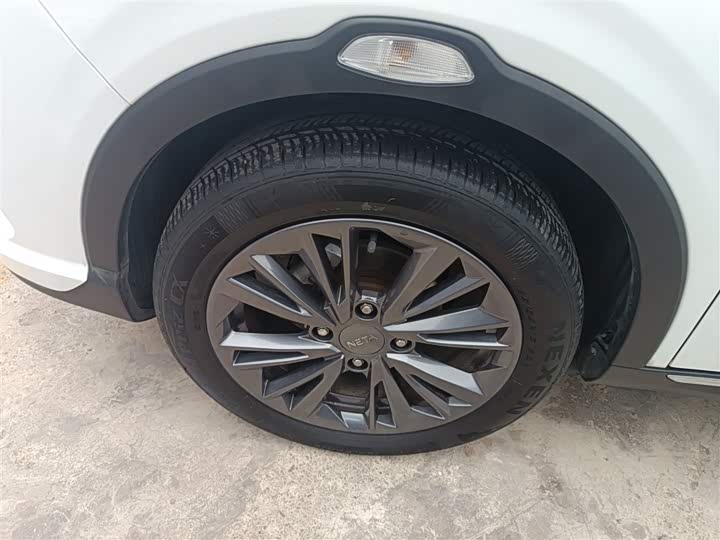 Фото 5 - Hozon V