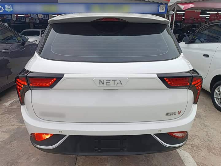 Фото 8 - Hozon V