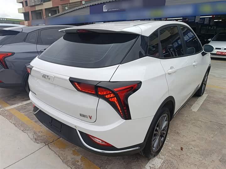 Фото 9 - Hozon V