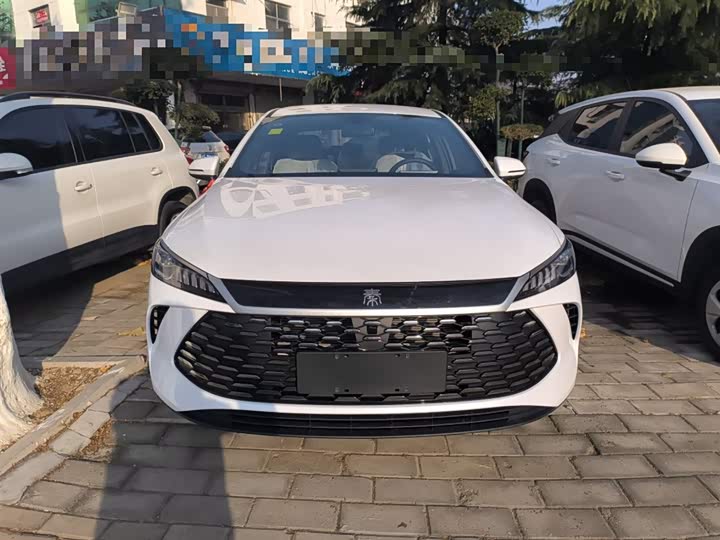 Фото 3 - BYD Qin Plus