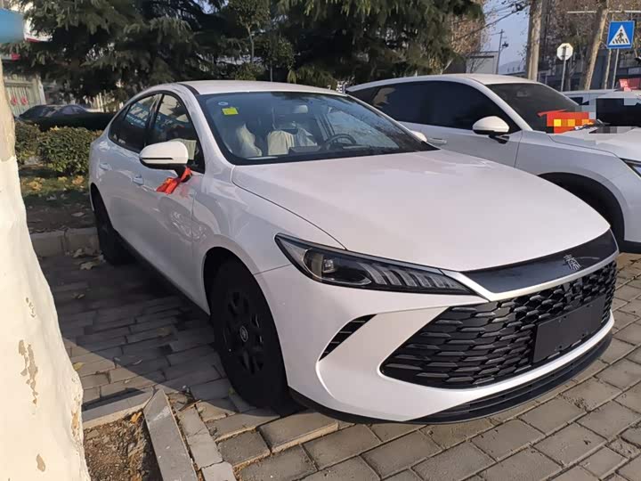 Фото 4 - BYD Qin Plus