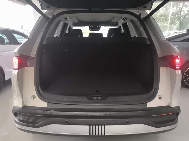 Фото 19 - BYD Sea Lion 05 DM-i Hybrid