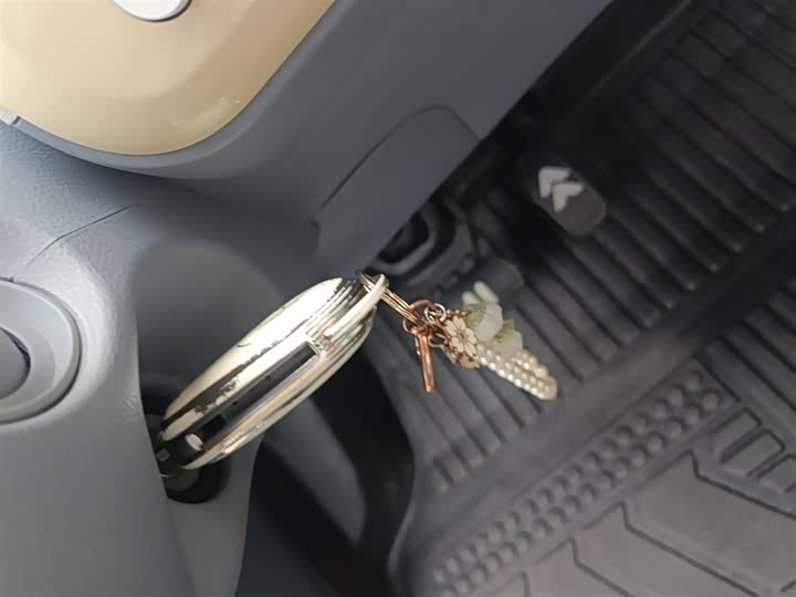 Фото 9 - Bestune Pony