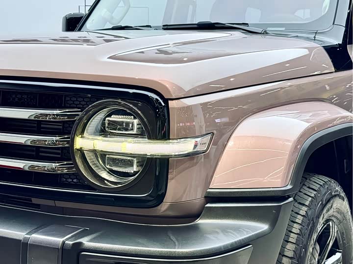 Фото 27 - Tank 300