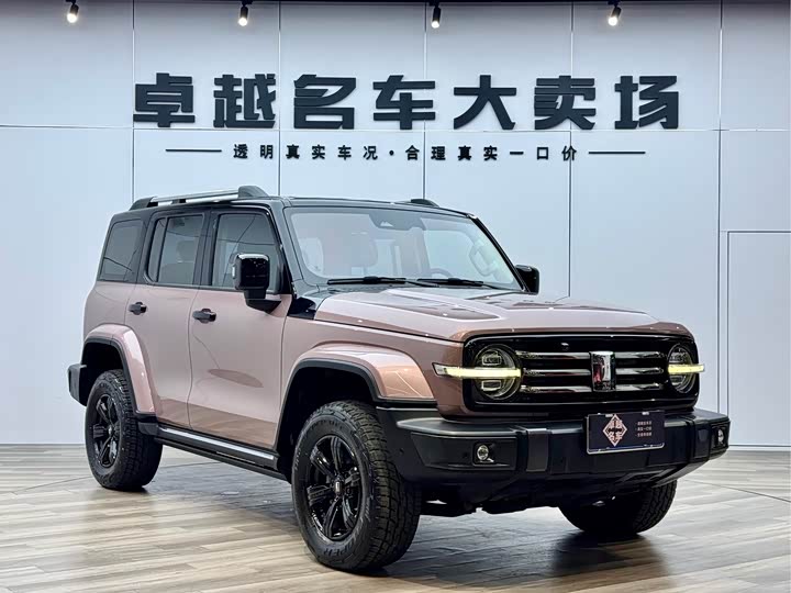 Фото 4 - Tank 300