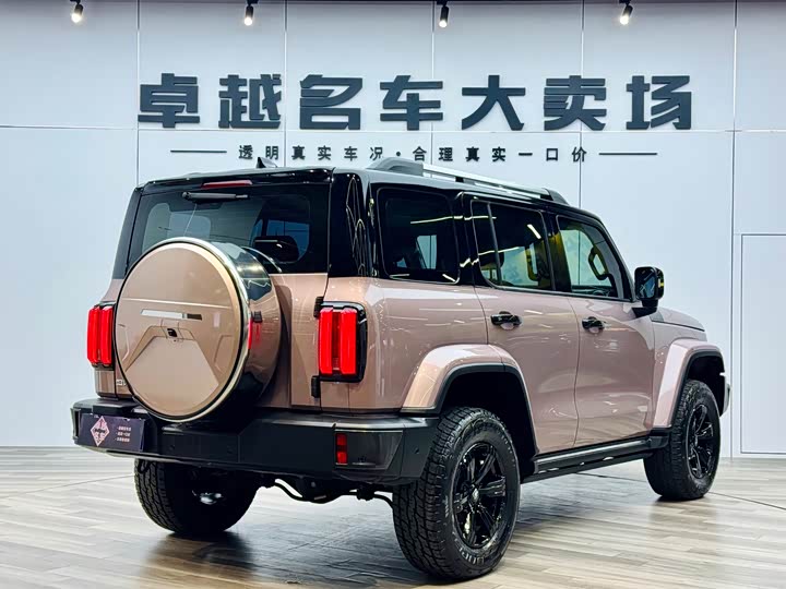 Фото 6 - Tank 300