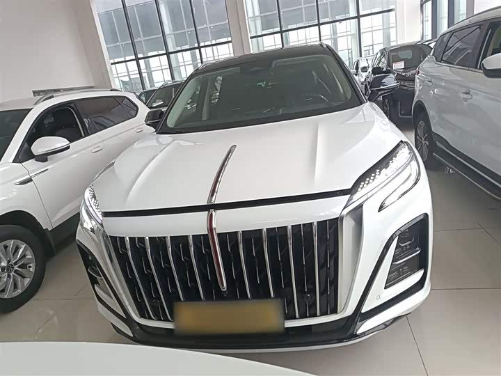 Фото 3 - Hongqi HS3