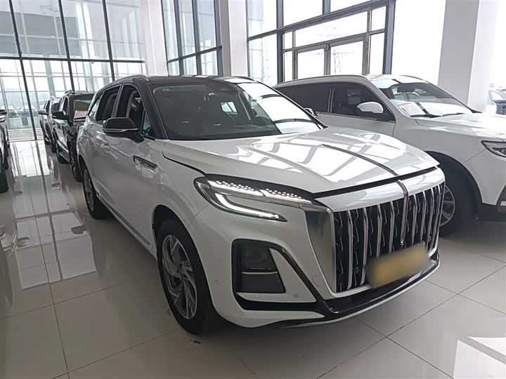 Фото 4 - Hongqi HS3