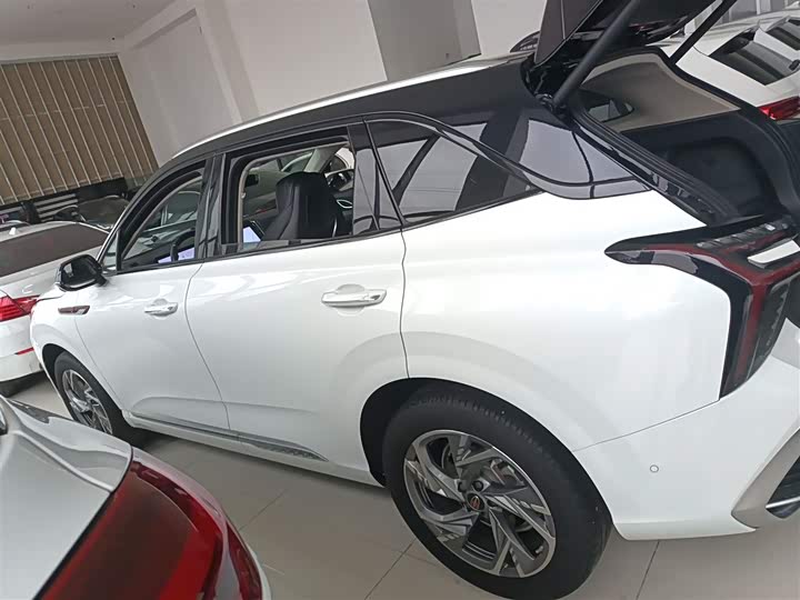 Фото 5 - Hongqi HS3