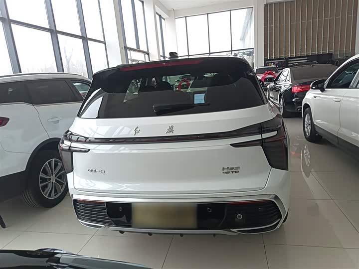 Фото 6 - Hongqi HS3