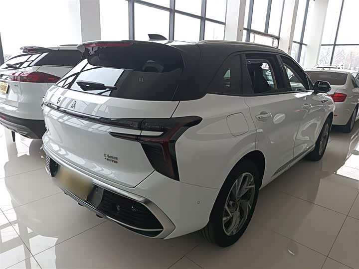 Фото 7 - Hongqi HS3