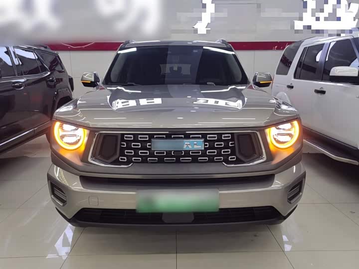 Фото 3 - Haval H-Dog Hybrid