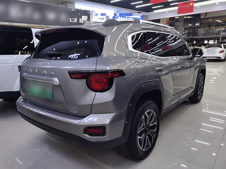 Фото 7 - Haval H-Dog Hybrid