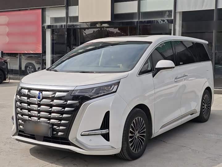 Фото 1 - Denza D9