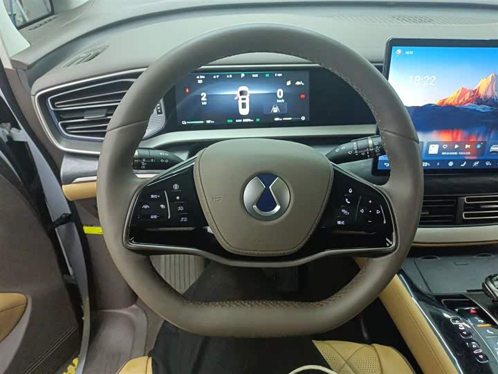 Фото 3 - Denza D9