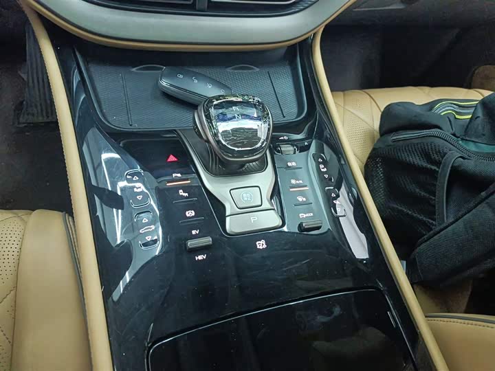 Фото 6 - Denza D9