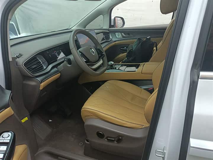 Фото 7 - Denza D9