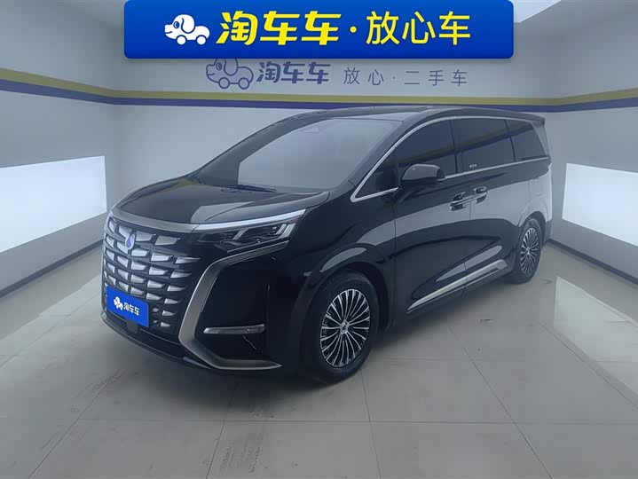 Фото 1 - Denza D9