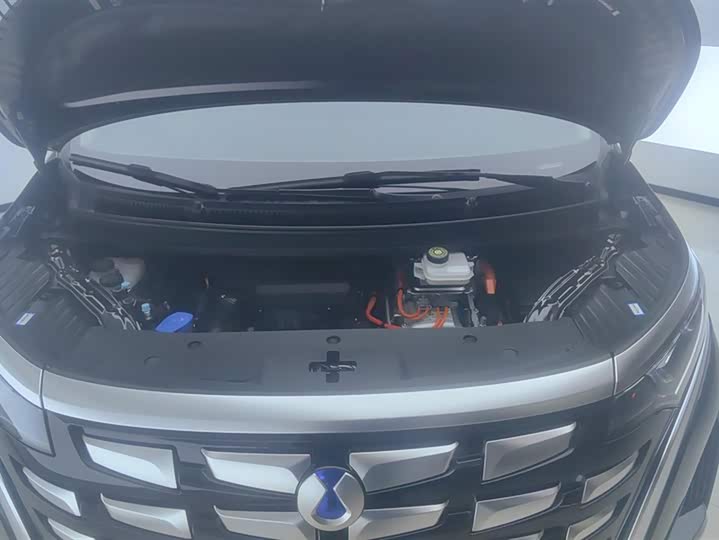 Фото 10 - Denza D9