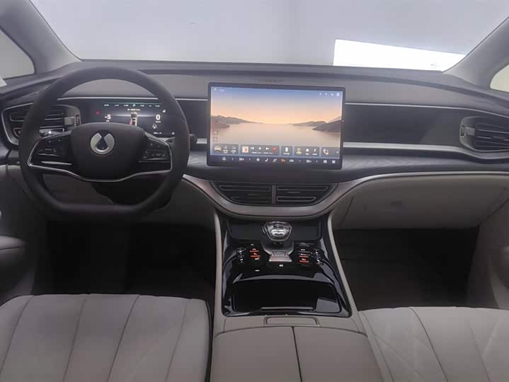 Фото 12 - Denza D9