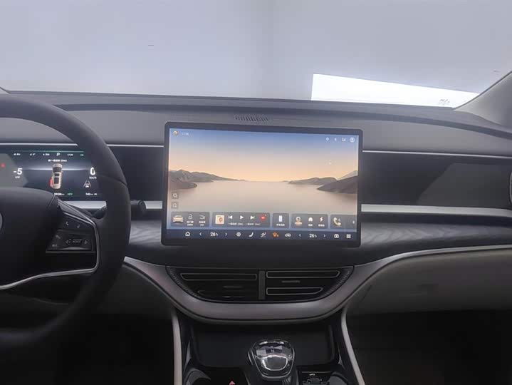 Фото 13 - Denza D9