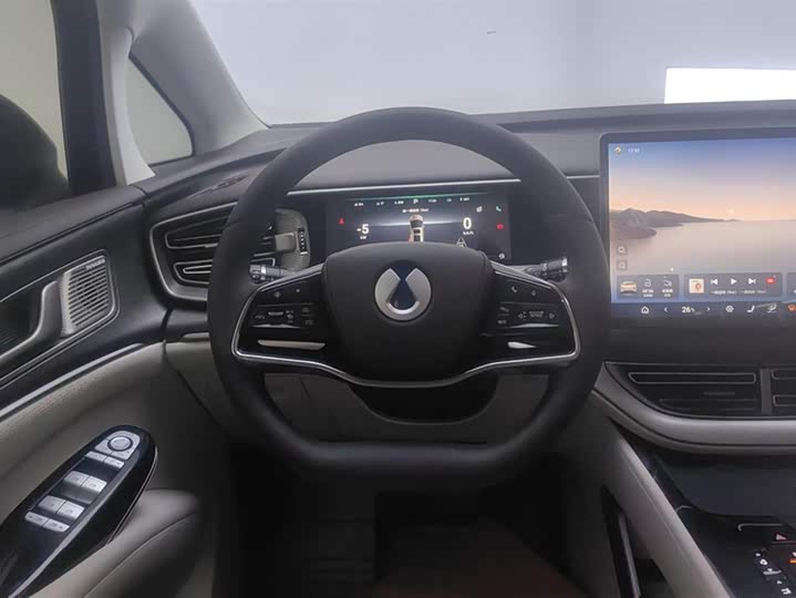 Фото 15 - Denza D9