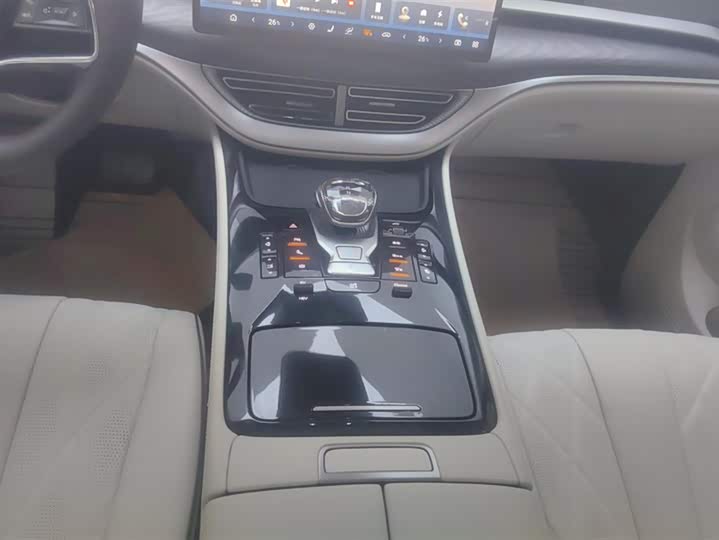 Фото 16 - Denza D9