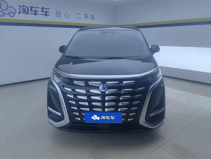 Фото 2 - Denza D9