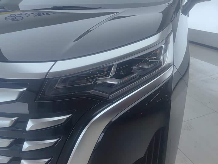 Фото 5 - Denza D9