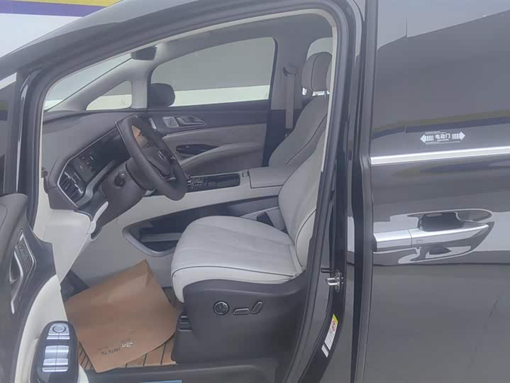 Фото 9 - Denza D9