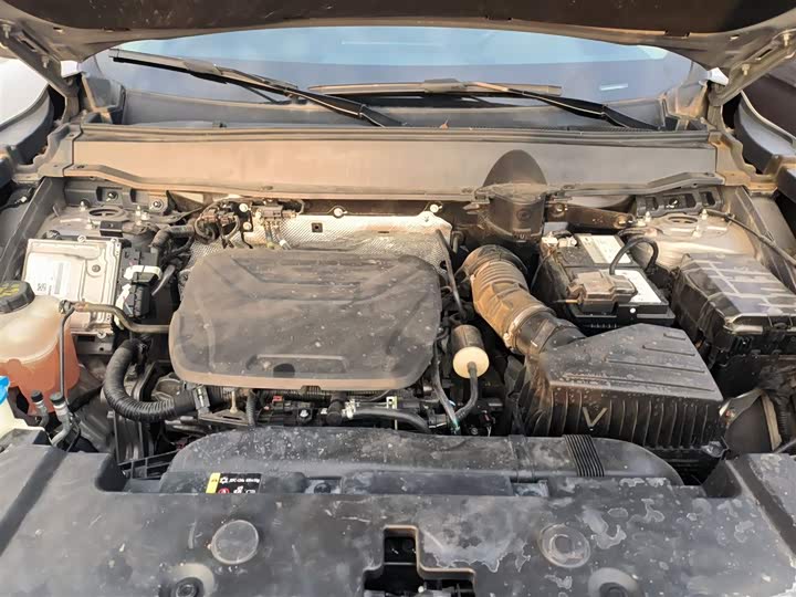 Фото 10 - Haval H-Dog