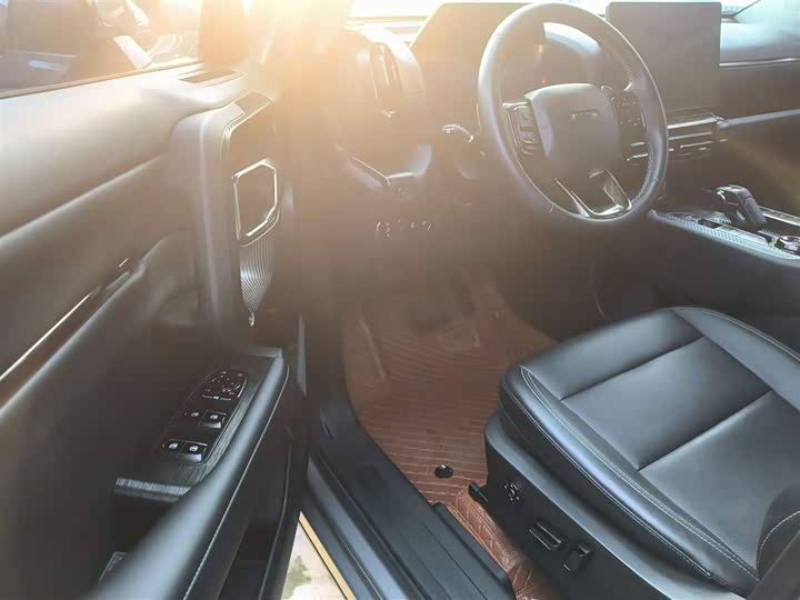 Фото 13 - Haval H-Dog