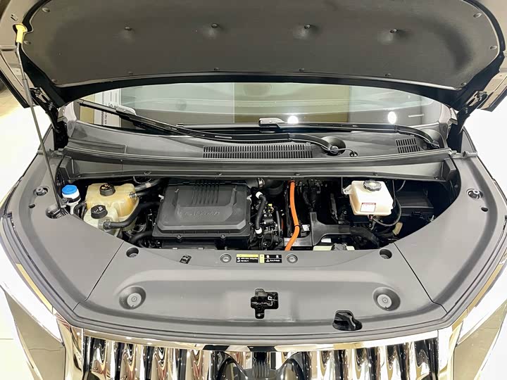 Фото 23 - GAC Trumpchi M8