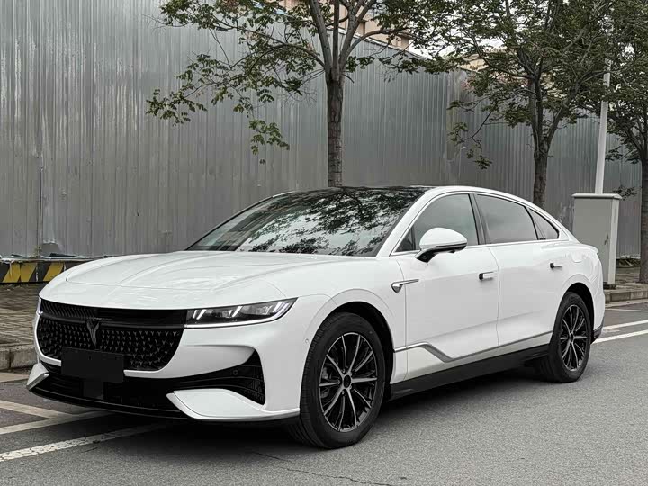 Фото 1 - Voyah Passion