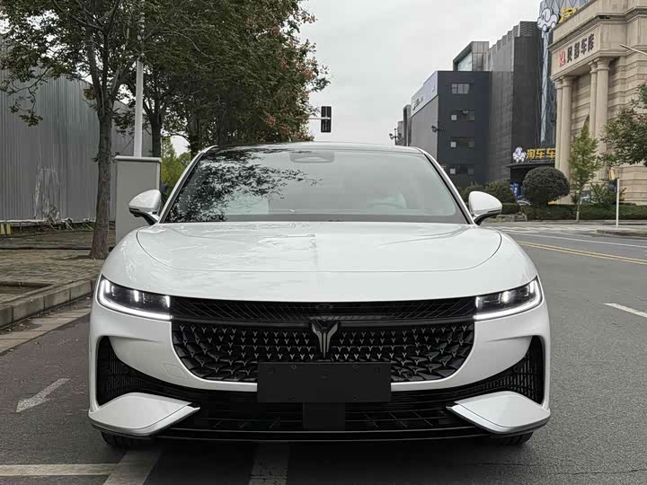 Фото 2 - Voyah Passion