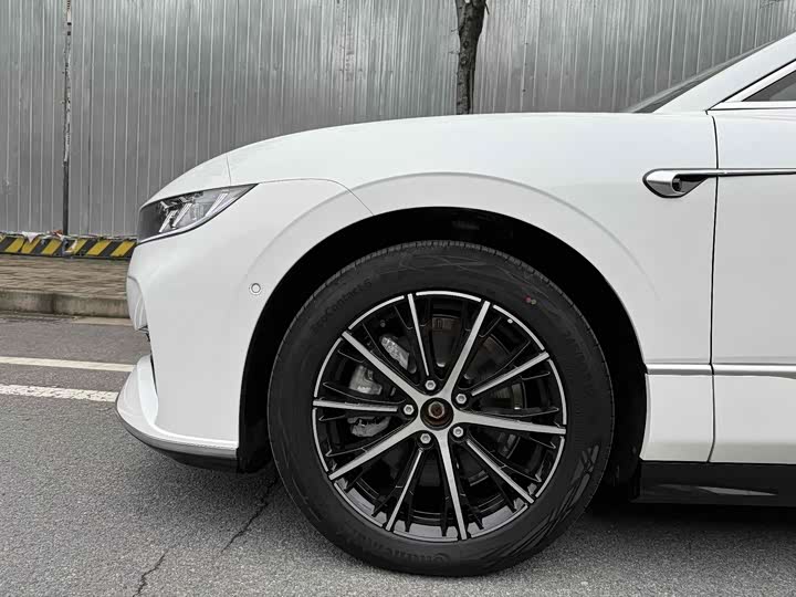 Фото 4 - Voyah Passion