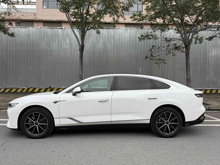 Фото 5 - Voyah Passion