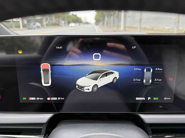 Фото 6 - Voyah Passion