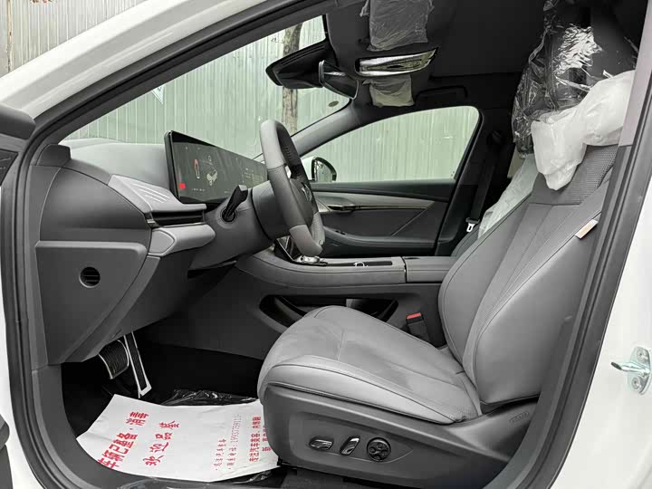 Фото 7 - Voyah Passion