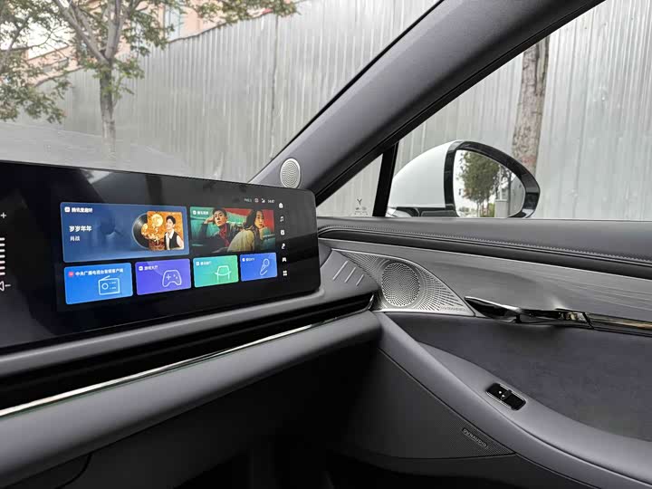 Фото 8 - Voyah Passion