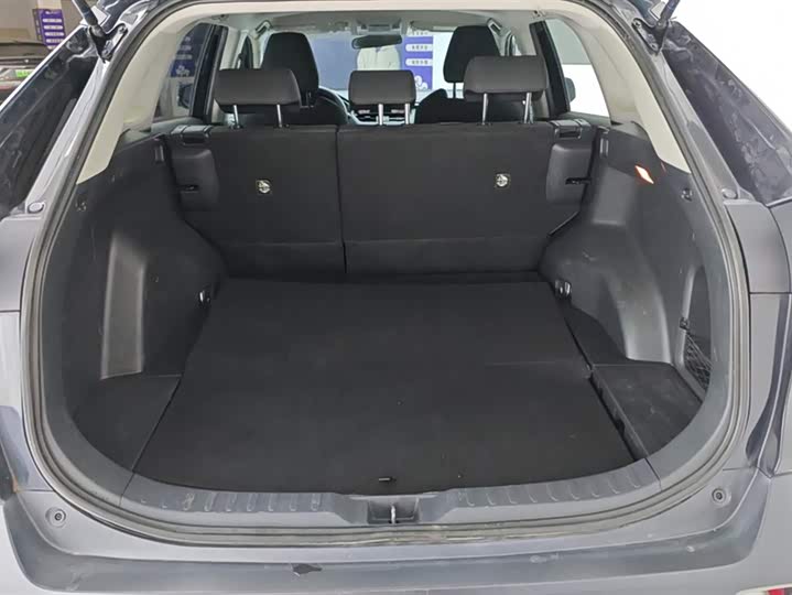 Фото 4 - Toyota Wildlander