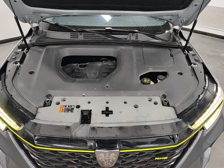 Фото 10 - Roewe RX5