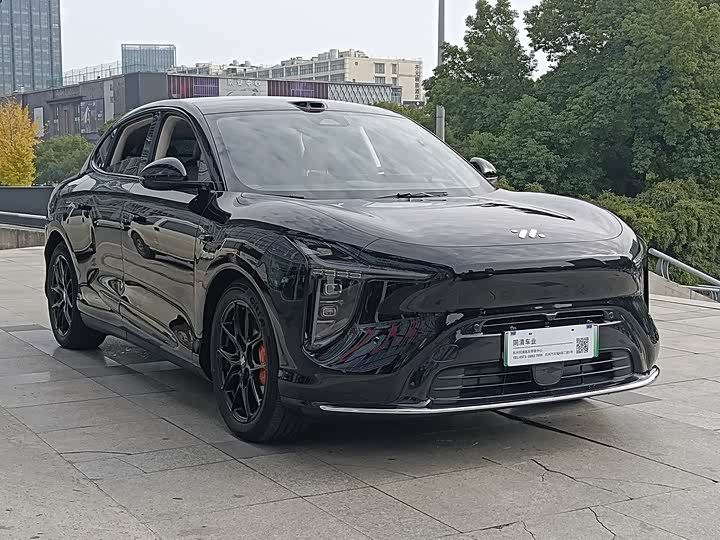 Фото 3 - IM motors LS6