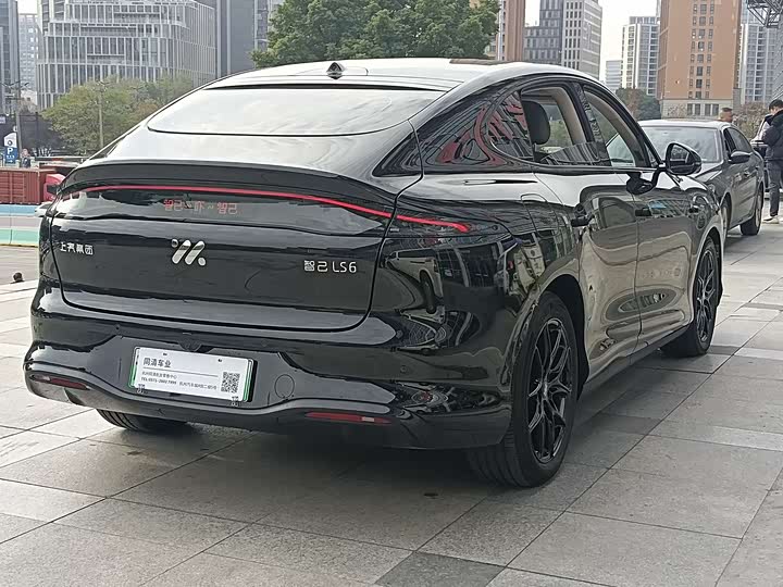 Фото 8 - IM motors LS6