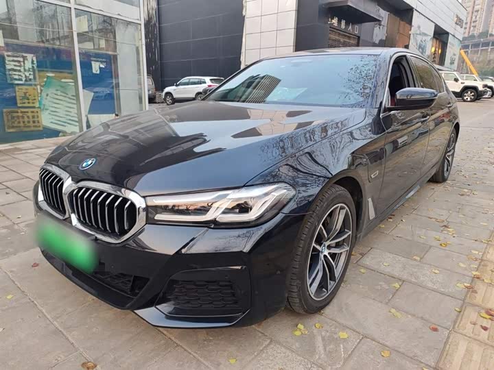 Фото 2 - BMW 5 Series Hybrid