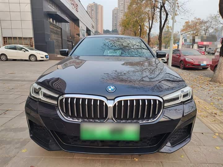 Фото 3 - BMW 5 Series Hybrid